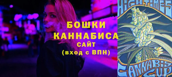 ПСИЛОЦИБИНОВЫЕ ГРИБЫ Корсаков