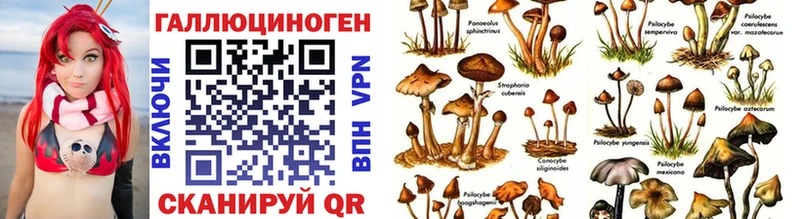 кракен ссылки  Новое Девяткино  Псилоцибиновые грибы Magic Shrooms 